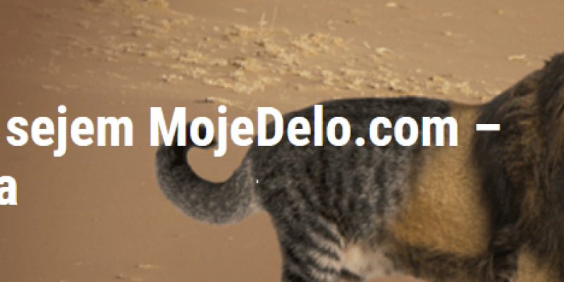 kariernisejem_012018